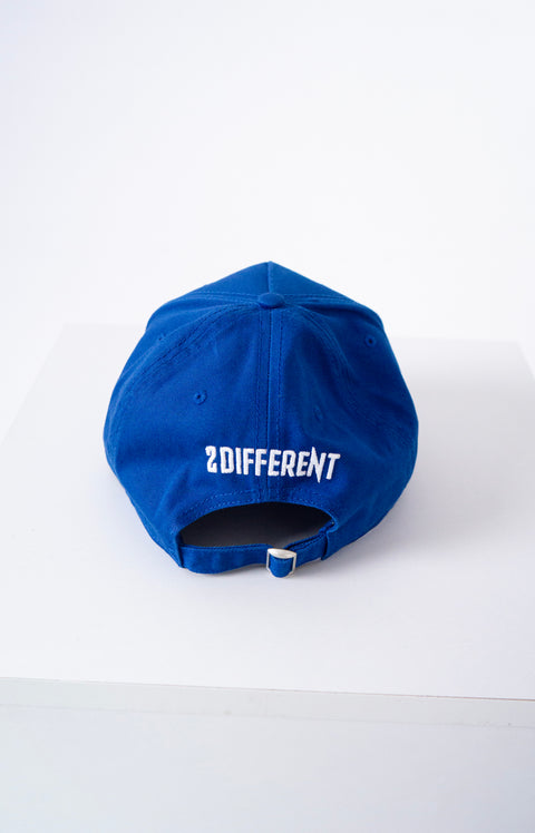 2DIFFERENT 2D CAP - BLUE