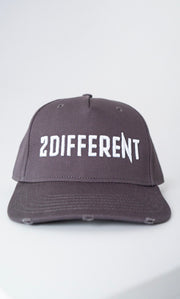 2DIFFERENT CAP - GREY