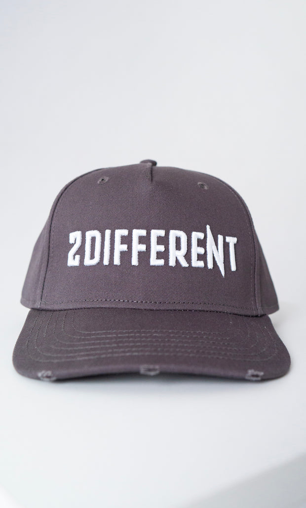2DIFFERENT CAP - GREY